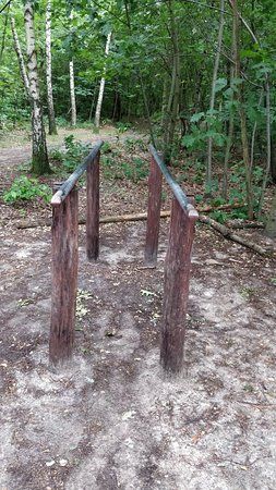 Uroczysko Lasek na Kole